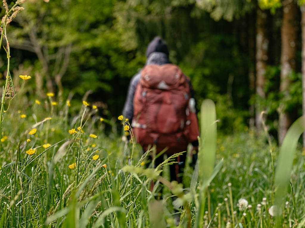 Trekking im Schwarzwald auf dem Albsteig - Wiesenweg
