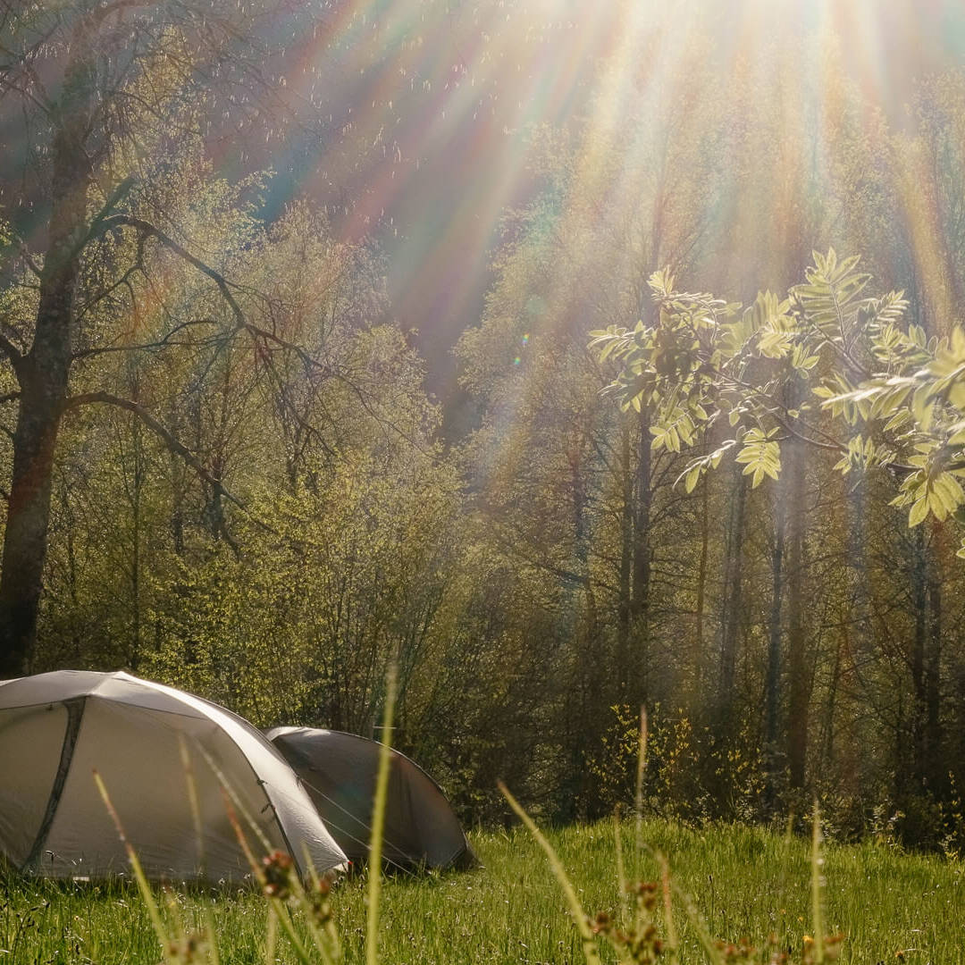 Trekking im Schwarzwald - Zelte am Trekkingcamp Windberg