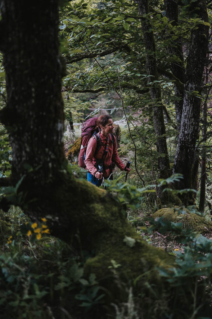 Trekking im Schwarzwald - Wanderweg Albsteig