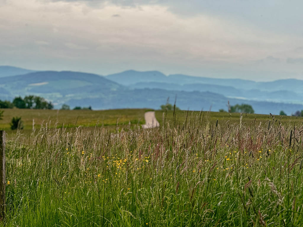Trekking im Schwarzwald auf dem Hochrhein-H&ouml;henweg bei Murg