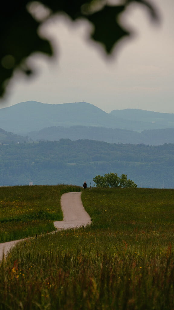 Trekking im Schwarzwald auf dem Hochrheinh&ouml;henweg bei Murg