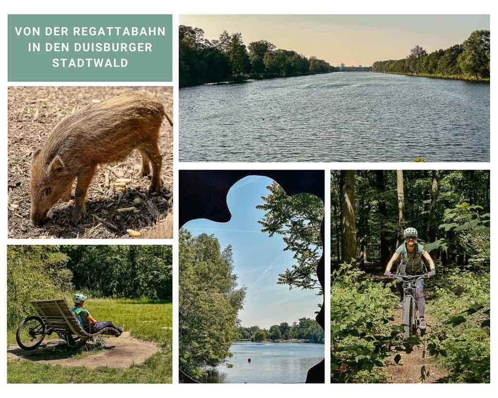 Radtour an der Regattabahn und im Stadtwald Duisburg