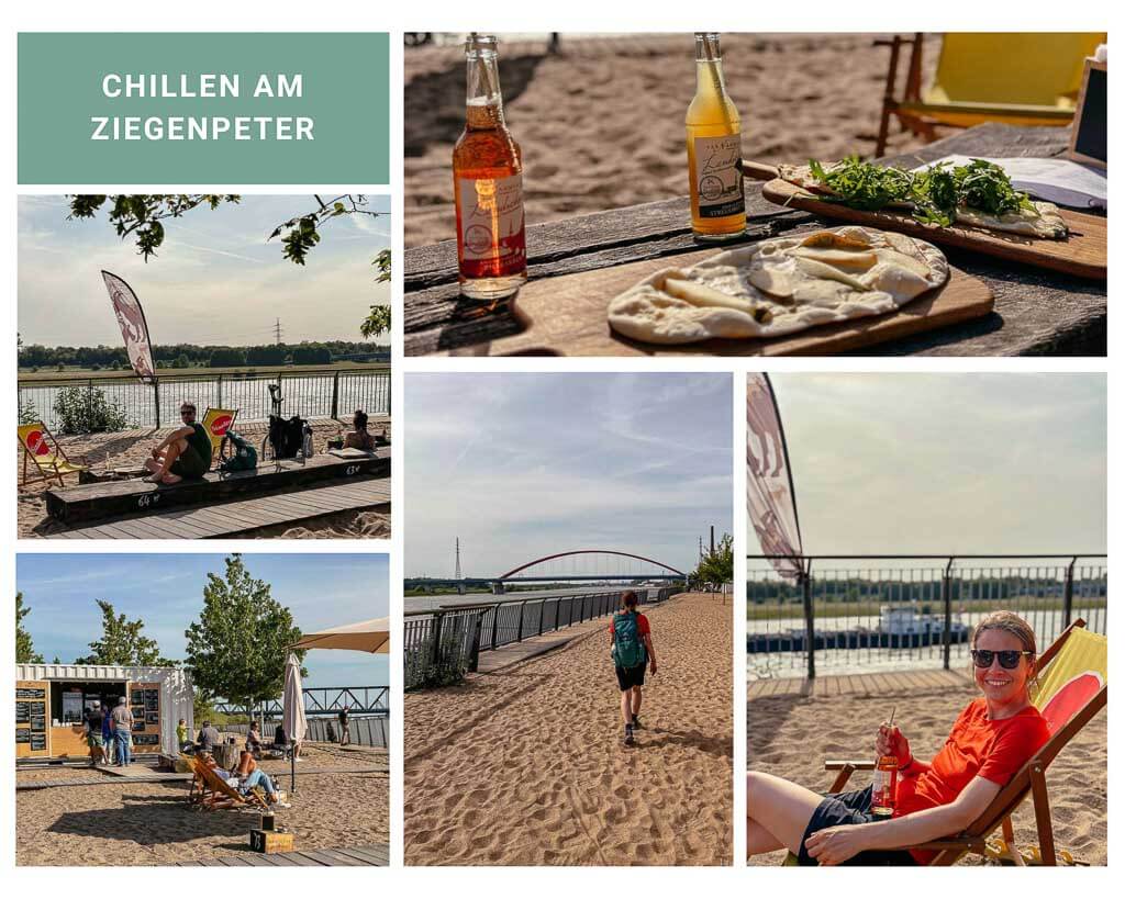 Ziegenpeter im Rheinpark Duisburg