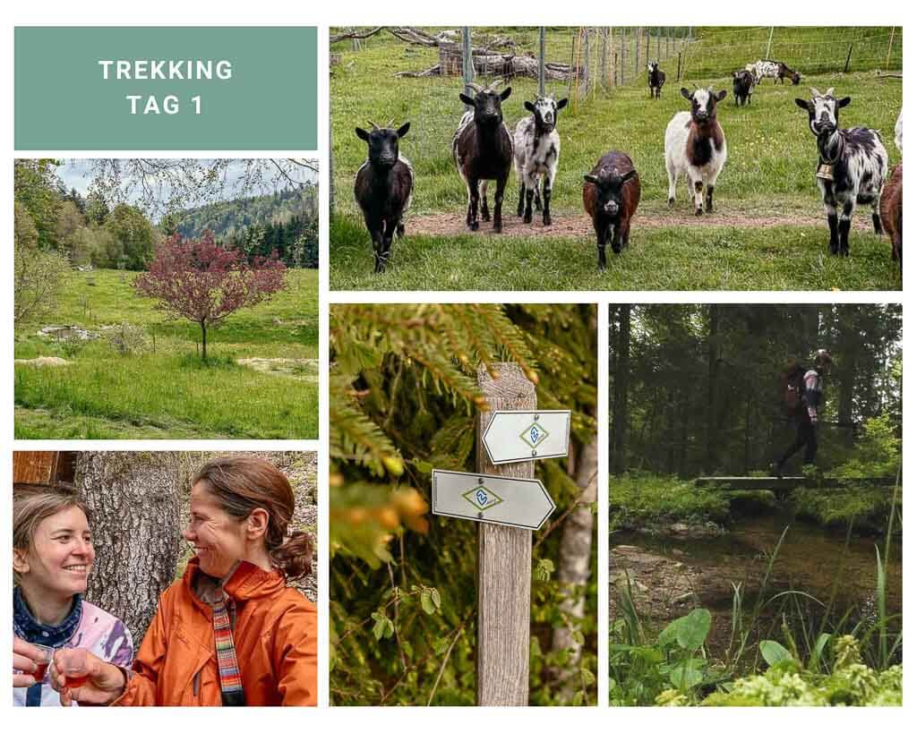 Trekking im Schwarzwald auf dem Albsteig