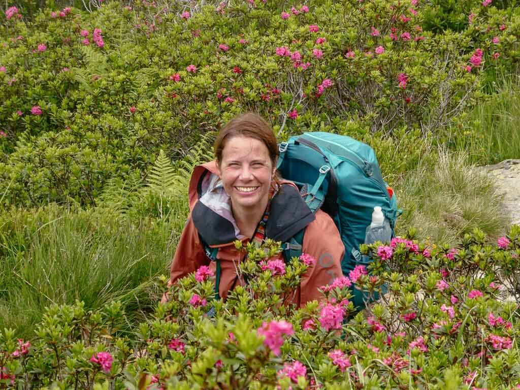 Couchflucht inmitten von Alpenrosen im Montafon