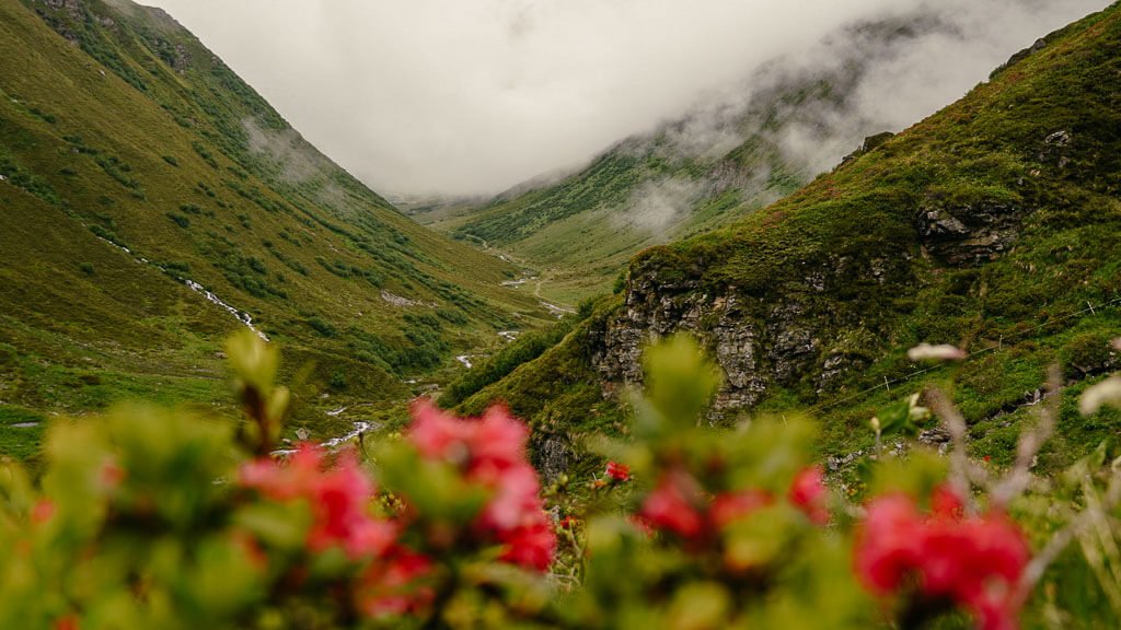 Landschaftsidylle im Vergaldnertal im Montafon