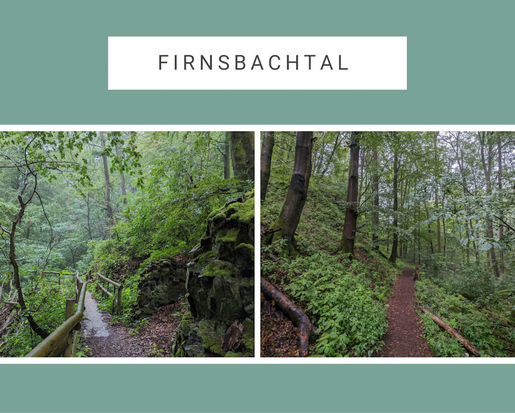 Das gr&uuml;ne Firnsbachtal auf dem Habichtswaldsteig in Nordhessen