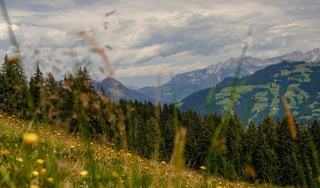 Bergidylle auf der ersten Etappe des KAT Walks in den Kitzb&uuml;heler Alpen