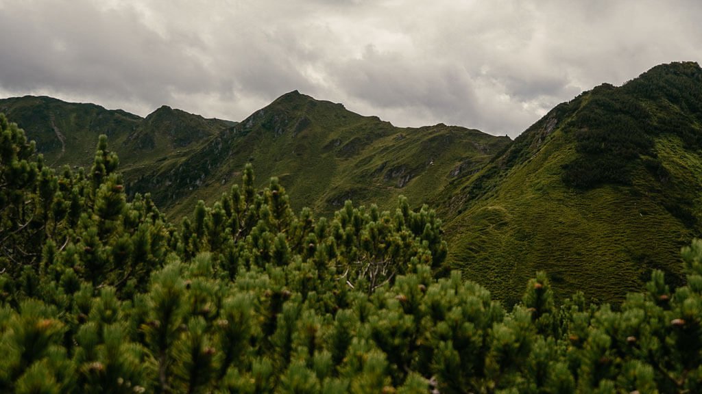 Blick zum Gerstinger Joch vom Gassnerkogel aus