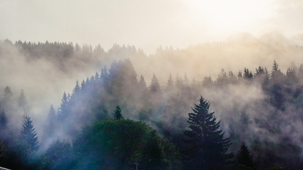 Mystische Nebelstimmung am Morgen in den Kitzb&uuml;heler Alpen