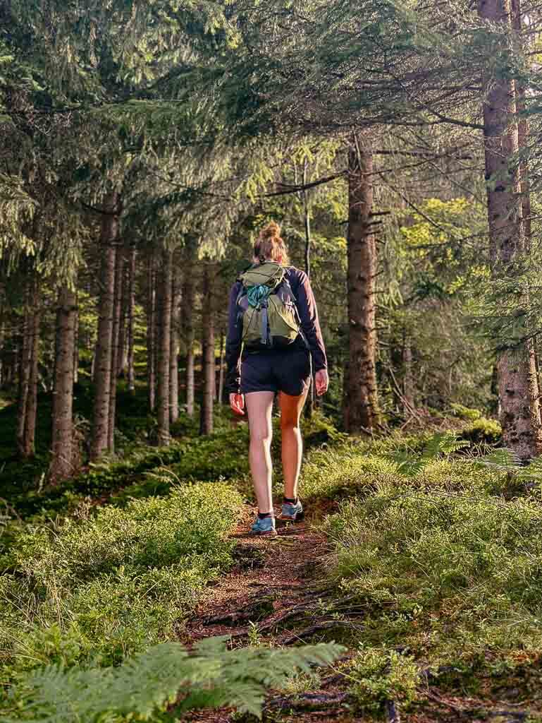 Waldpfad beim Wandern auf dem KAT Walk in den Kitzb&uuml;heler Alpen
