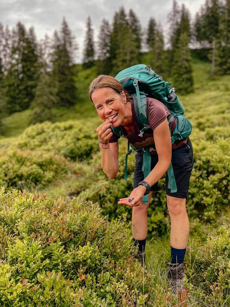 Couchflucht beim pfl&uuml;cken von Heidelbeeren auf dem KAT Walk