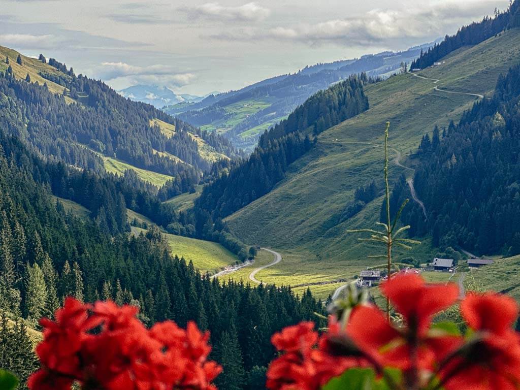 Ausblick von der Labalm auf das Spertental in den Kitzb&uuml;heler Alpen
