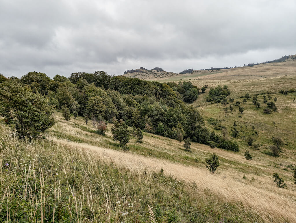 Wandern auf dem Habichtswaldsteig am Alpenpfad
