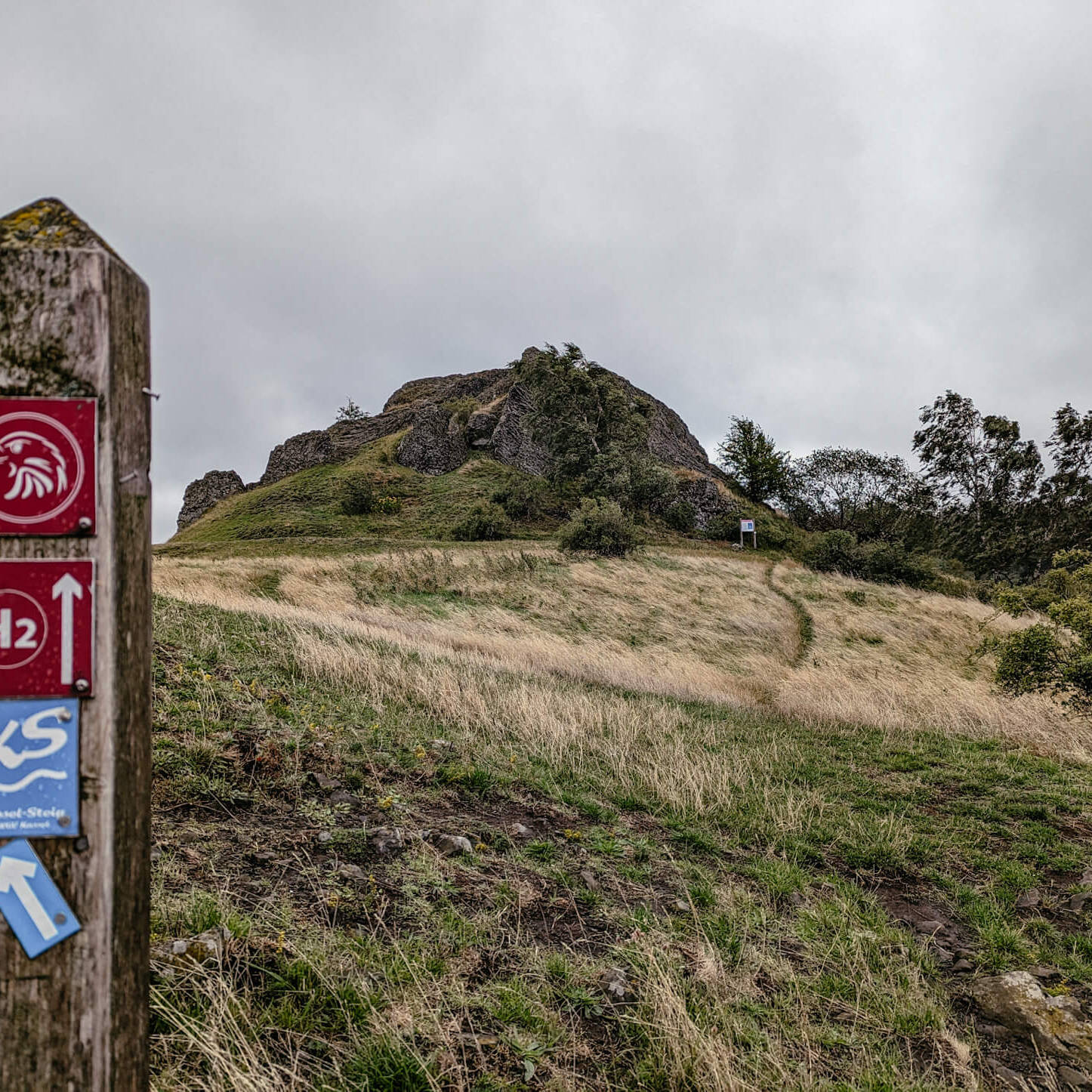 Habichtswaldsteig mit Wegmarkierung in Nordhessen