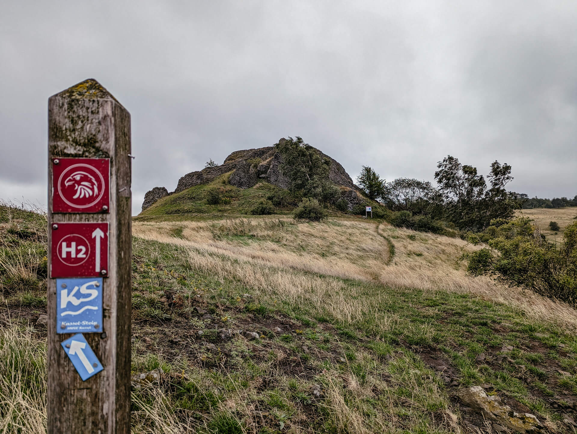 Habichtswaldsteig mit Wegmarkierung in Nordhessen
