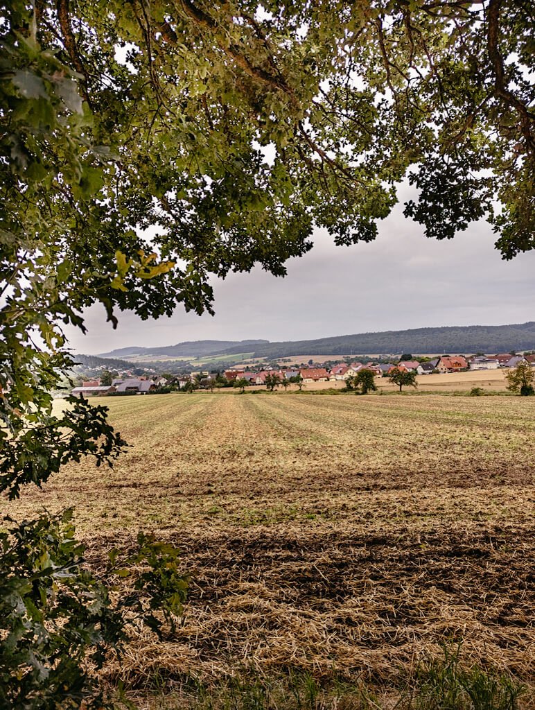 Blick vom Waldrand am Habichtswaldsteig in Nordhessen