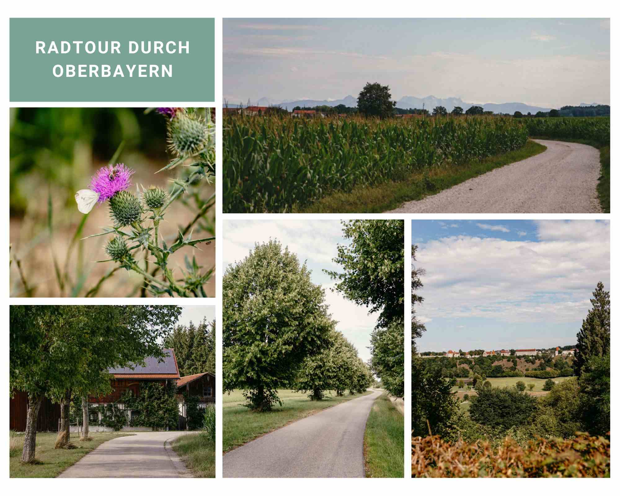 Radtour Oberbayern Inn-Salzach