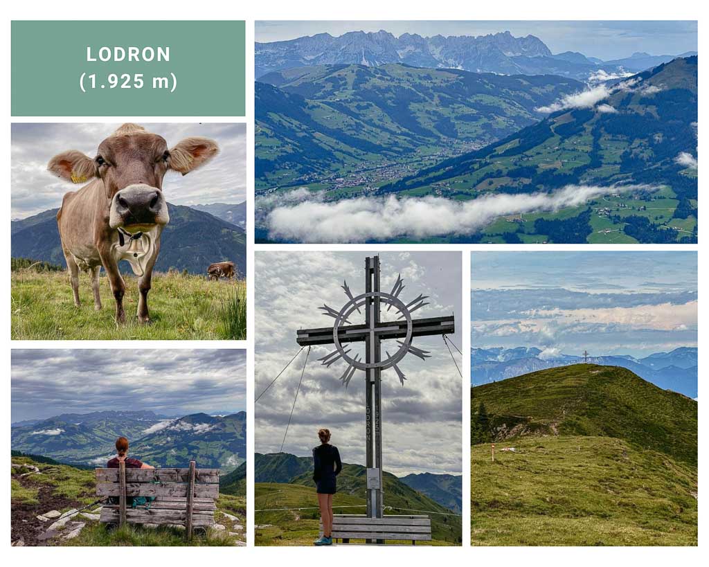 Bergwelt und Kuh am Lodron in den Kitzb&uuml;heler Alpen