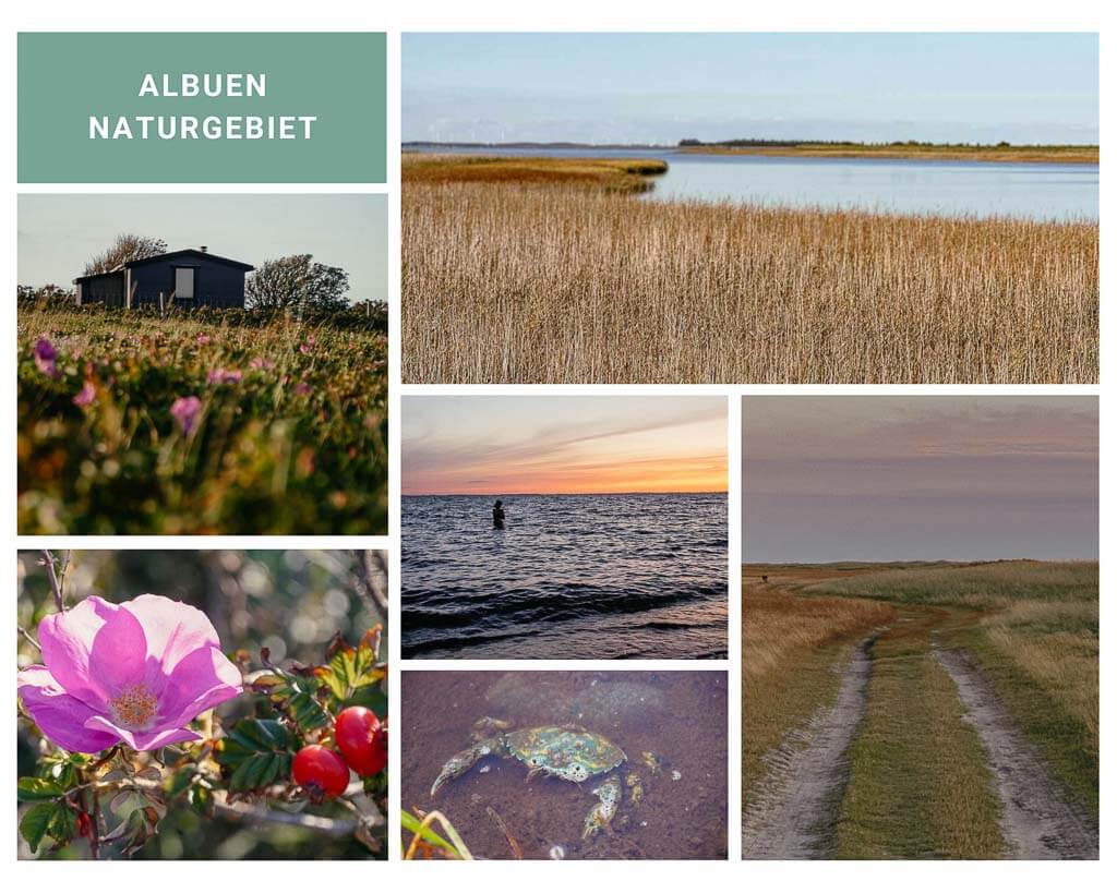Wandern im Albuen Naturgebiet auf Lolland in D&auml;nemark