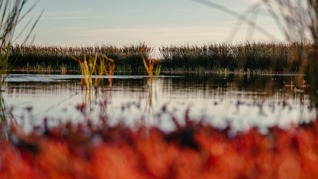 Landschaftsidylle bei Albuen auf Lolland in D&auml;nemark