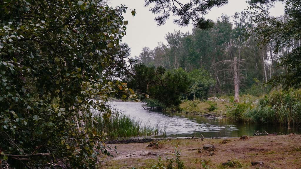 Naturidylle mit See und Picknickplatz beim wandern im B&oslash;t&oslash;skoven auf Falster in D&auml;nemark