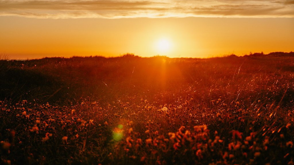 Sonnenuntergang im Naturschutzgebiet Saksfjed Hyllekrog auf Lolland in D&auml;nemark