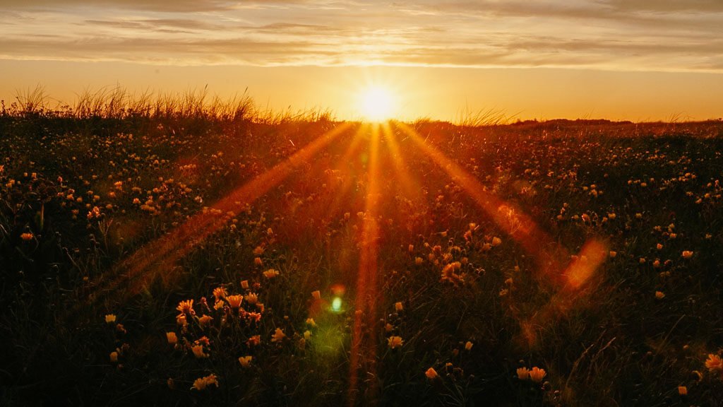 Sonnenuntergang im Naturschutzgebiet Saksfjed Hyllekrog auf Lolland in D&auml;nemark