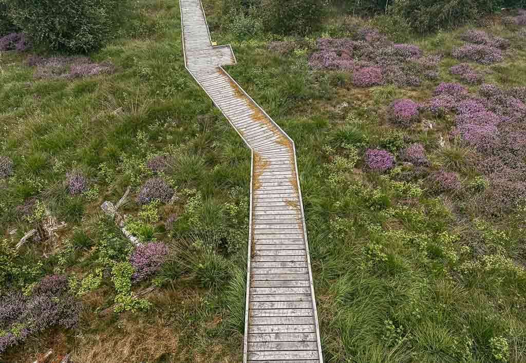 Wandern in Horreby Lyng auf Falster in D&auml;nemark