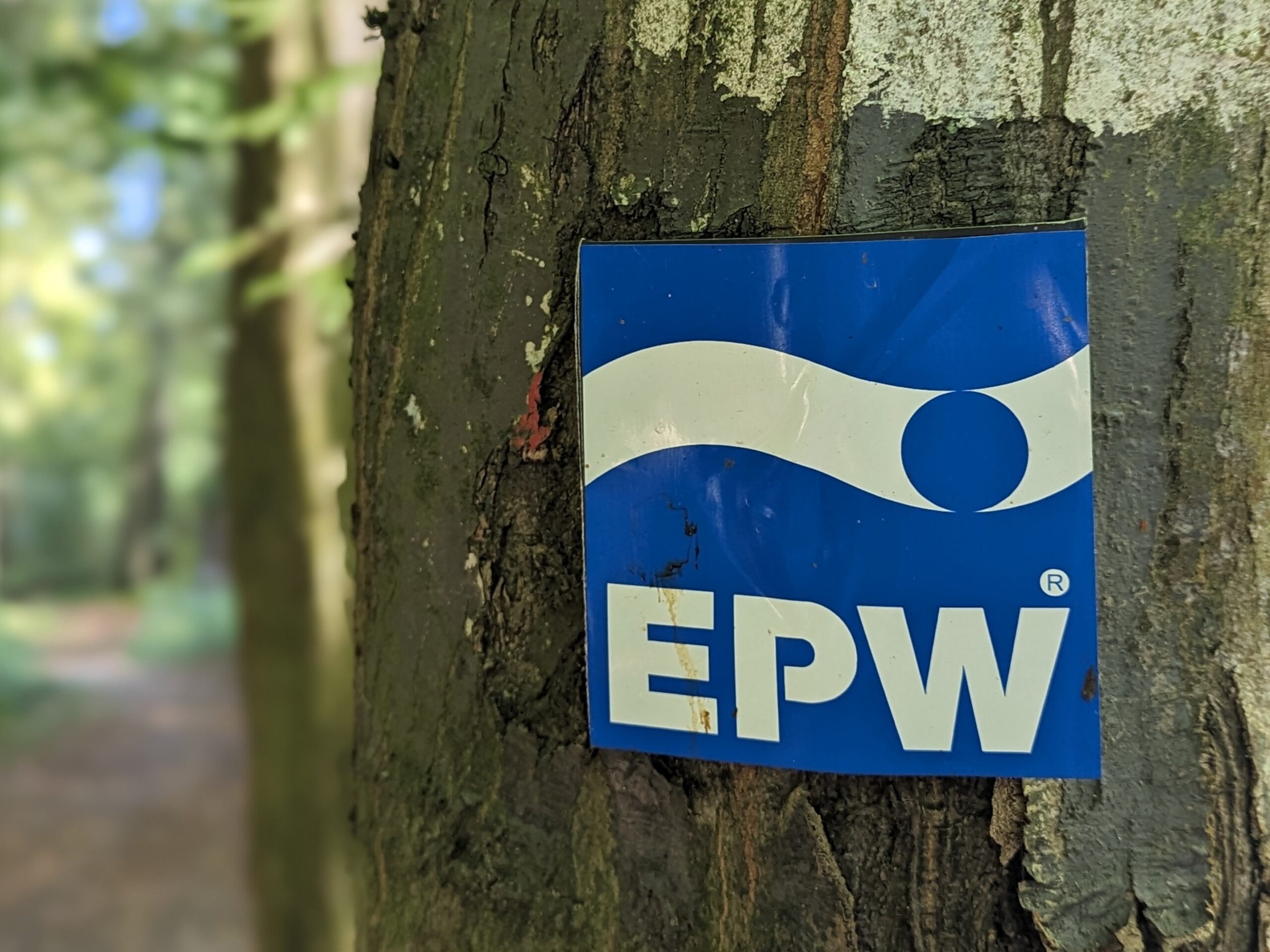 Markierung - Wegezeichen beim Wandern auf dem Elsterperlenweg