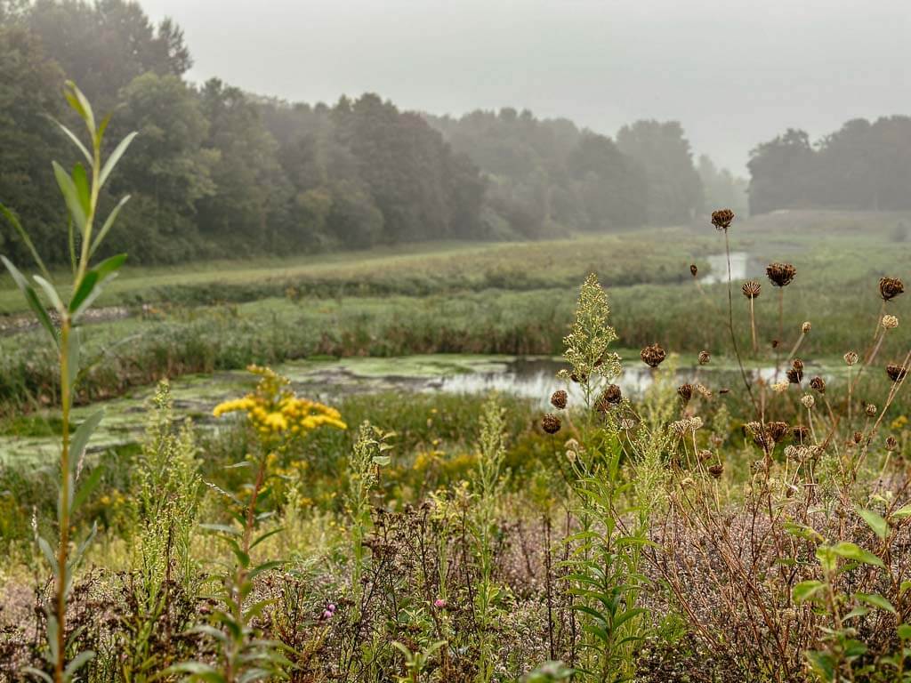 Emscherauen im Morgennebel bei der Radtour im Ruhrgebiet