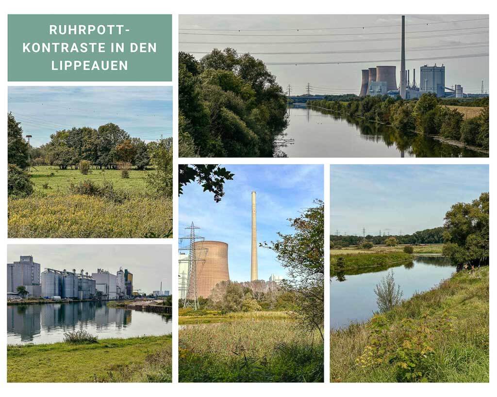 Lippeauen und &Ouml;lhafen in Hamm bei der Radtour im Ruhrgebiet