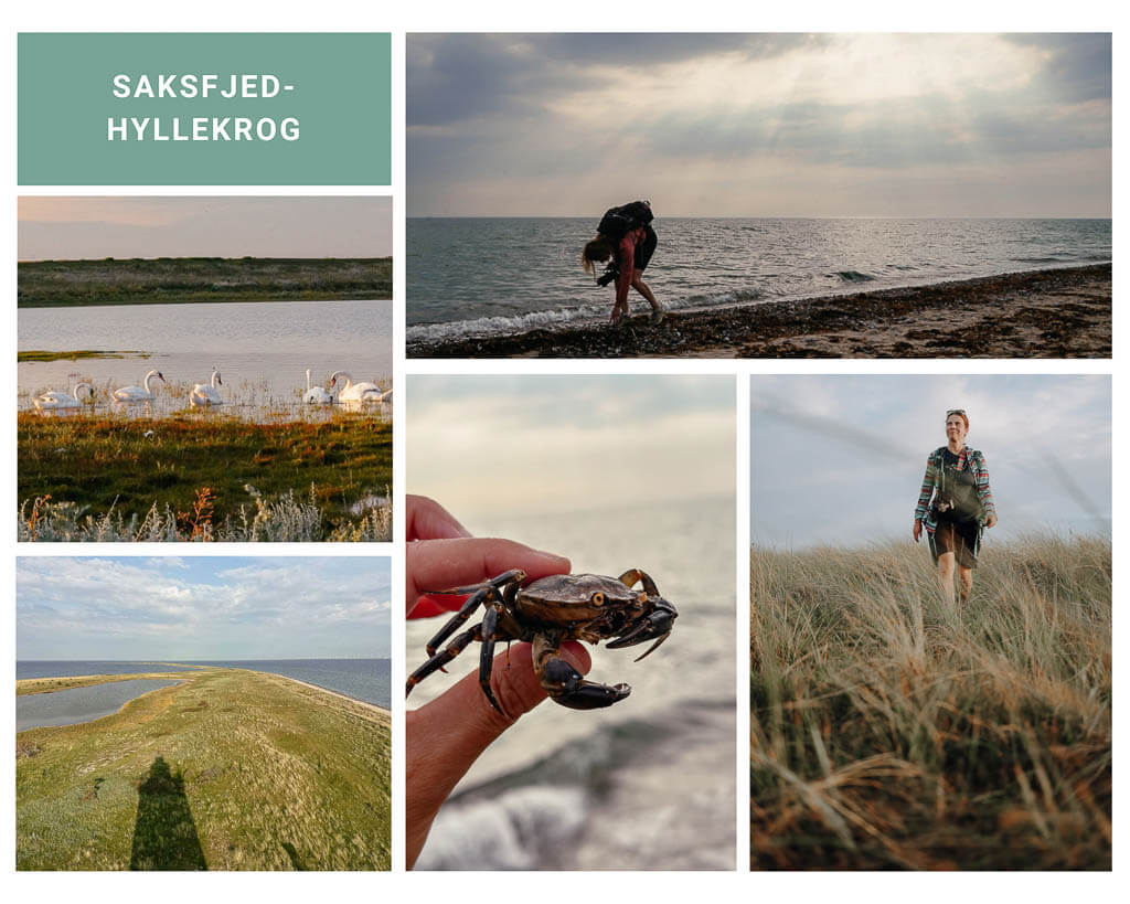 Wandern bei Saksfjed-Hyllekrog auf Lolland in D&auml;nemark