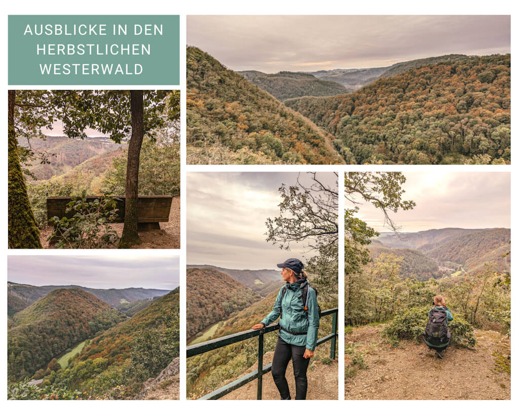 Herbstliche W&auml;lder auf dem Wiedweg im Westerwald