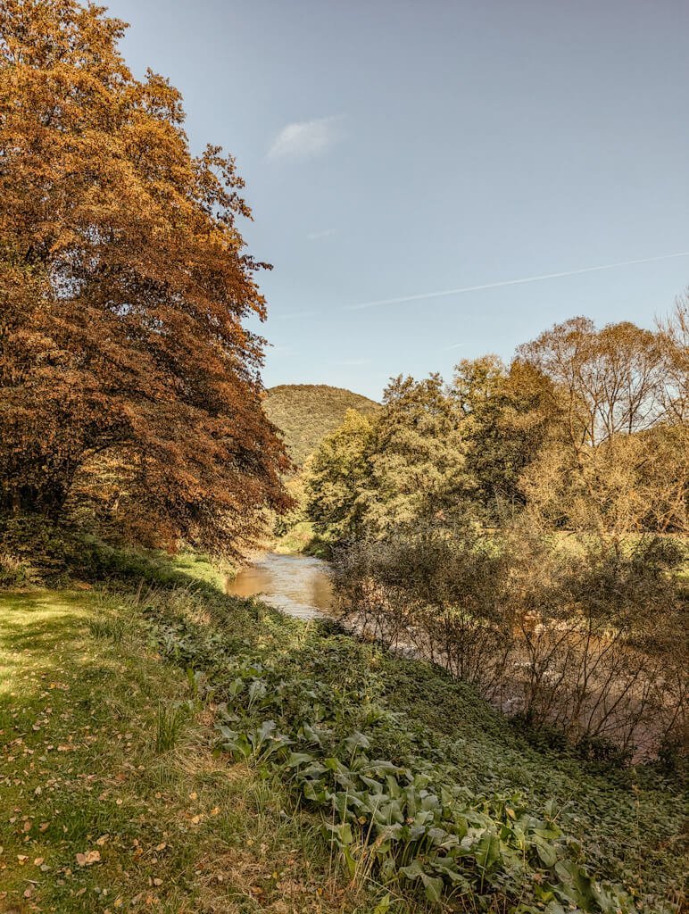 Wandern auf dem Wiedweg im Westerwald