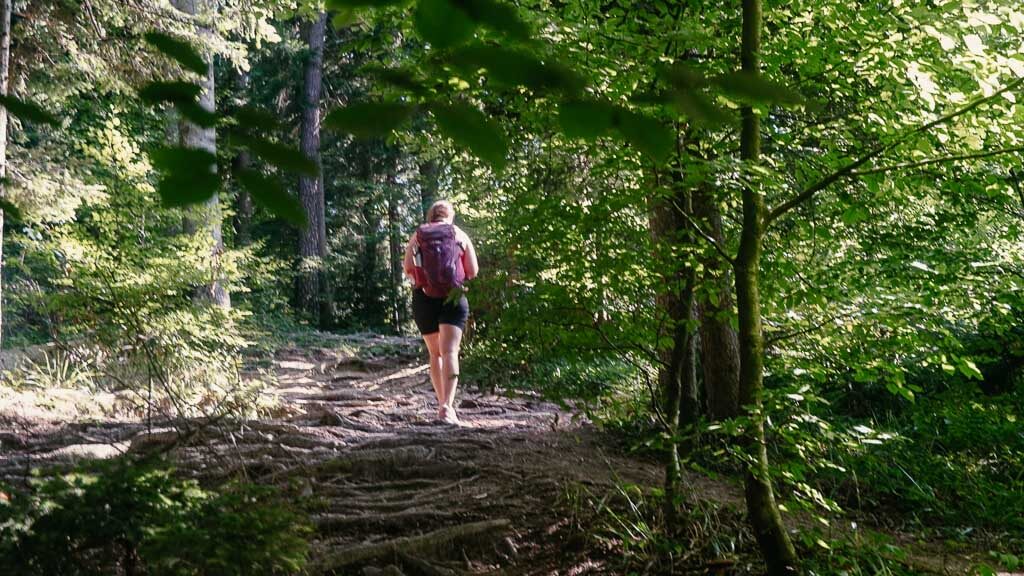 Vorarlberg wandern zum Schneiderkopf in der Region Bodensee