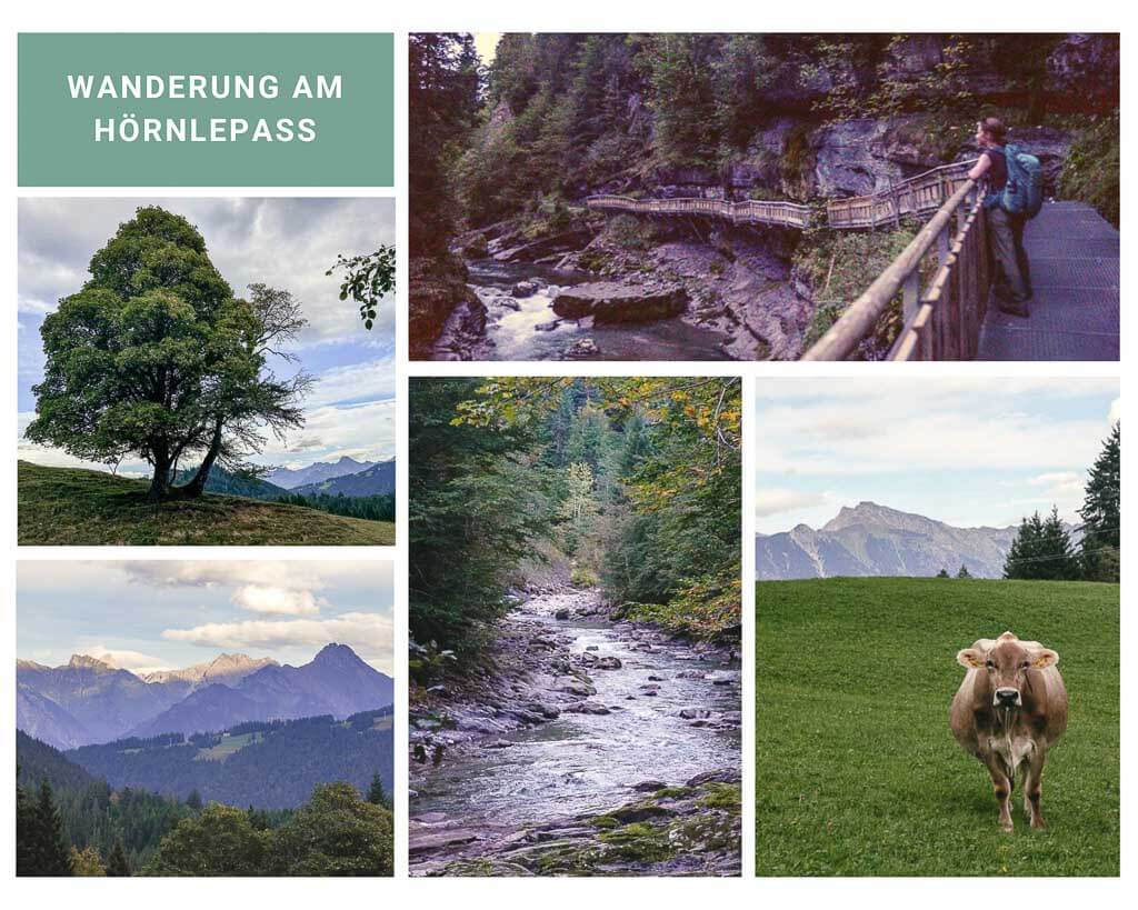 Wandern in Vorarlberg am H&ouml;rnlepass im Kleinwalsertal
