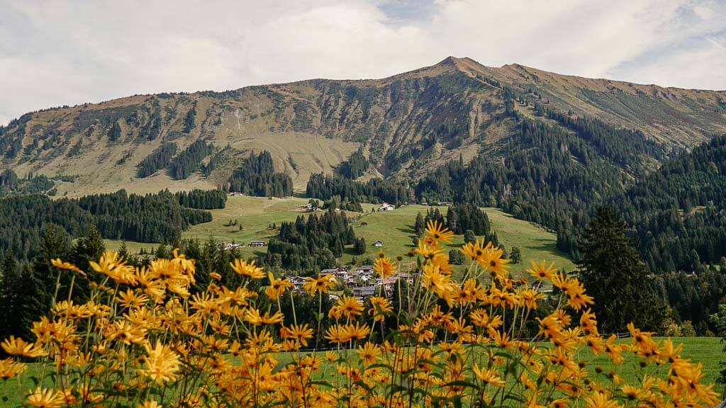 Bergidylle bei Riezlern im Kleinwalsertal/ Vorarlberg