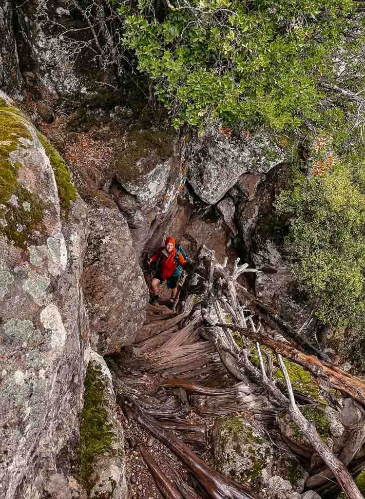 Treppe aus Wacholderholz beim wandern auf Sardinien