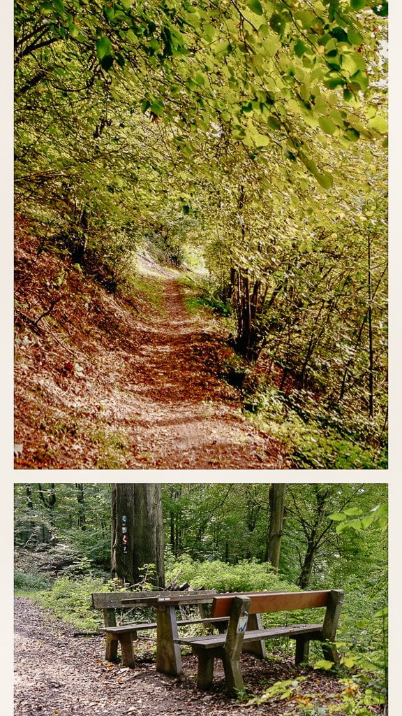 Wandern auf dem Wiedweg im Westerwald
