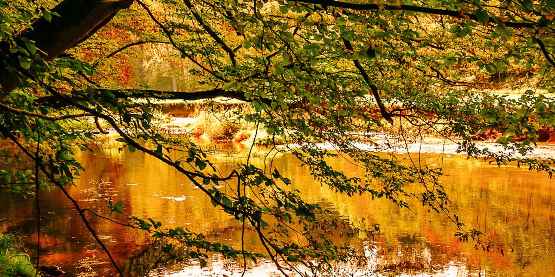 Wiedweg - Wandern im Westerwald