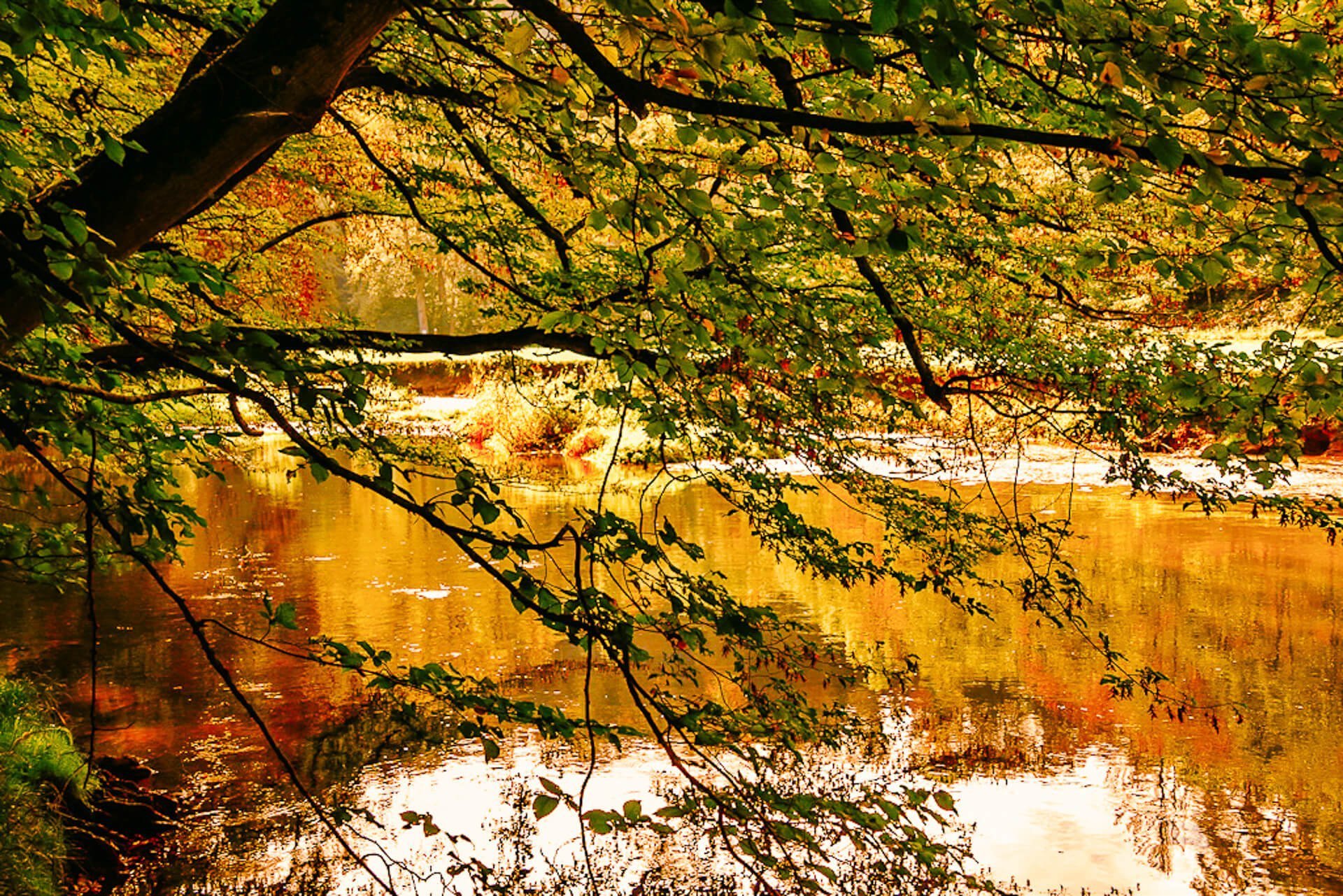 Wiedweg - Wandern im Westerwald