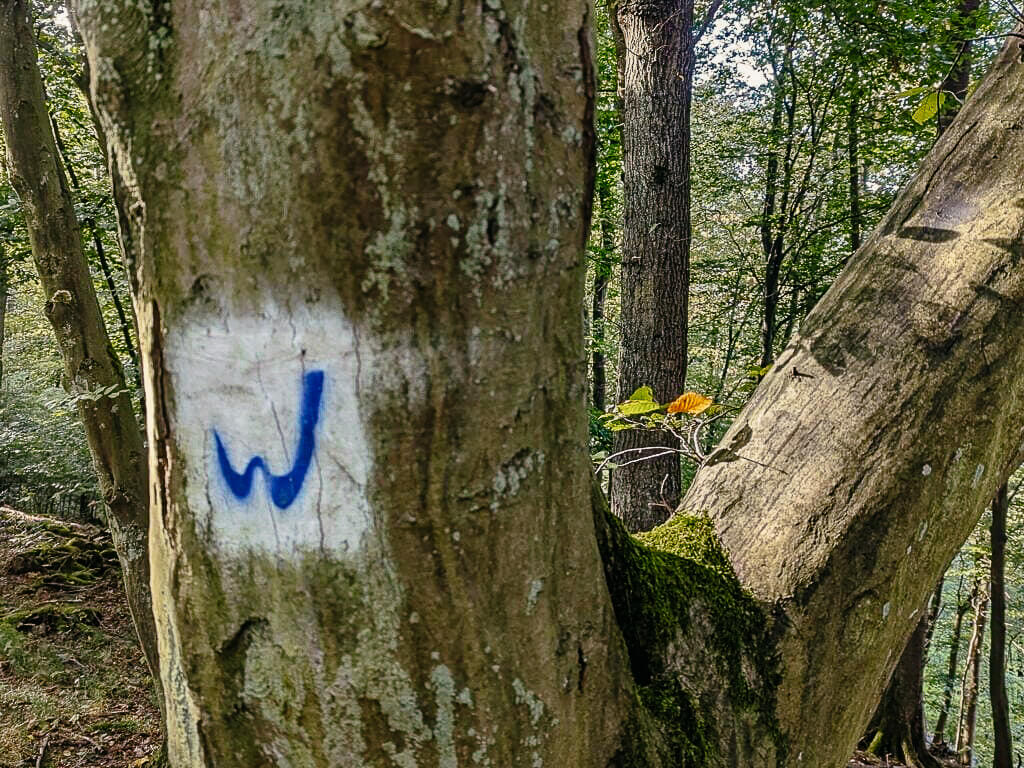 Wiedweg Markierung